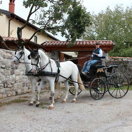 Country House Lokev Hostal Exterior foto
