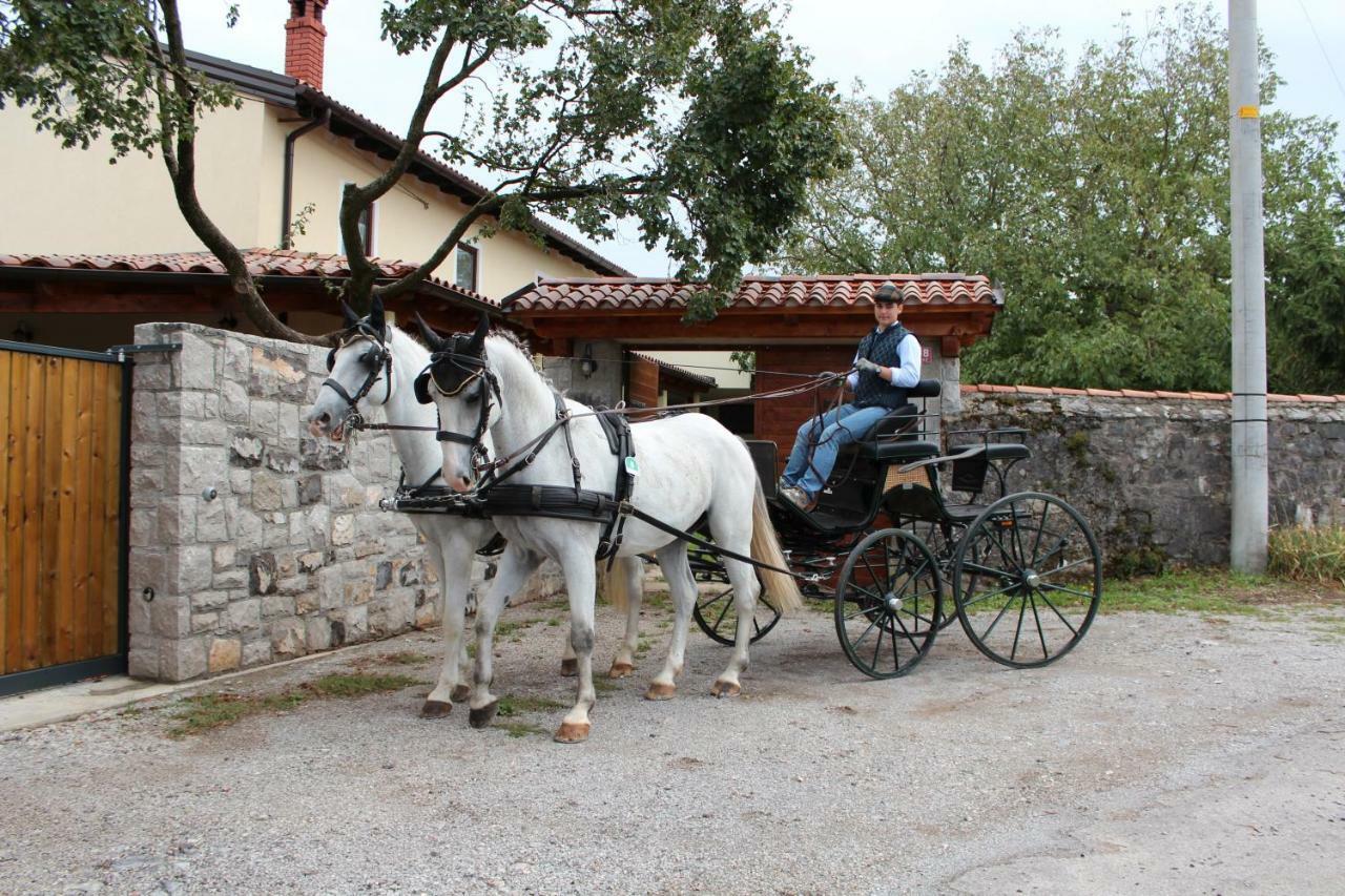 Country House Lokev Hostal Exterior foto